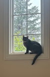 Nyx - Photo 5