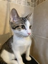 Yukio - Photo 8