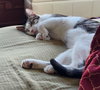 Yukio - Photo 2