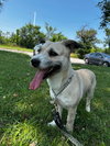 Herbert - Photo 10
