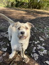 Herbert - Photo 9