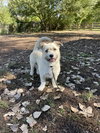 Herbert - Photo 4