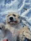 Herbert - Photo 8