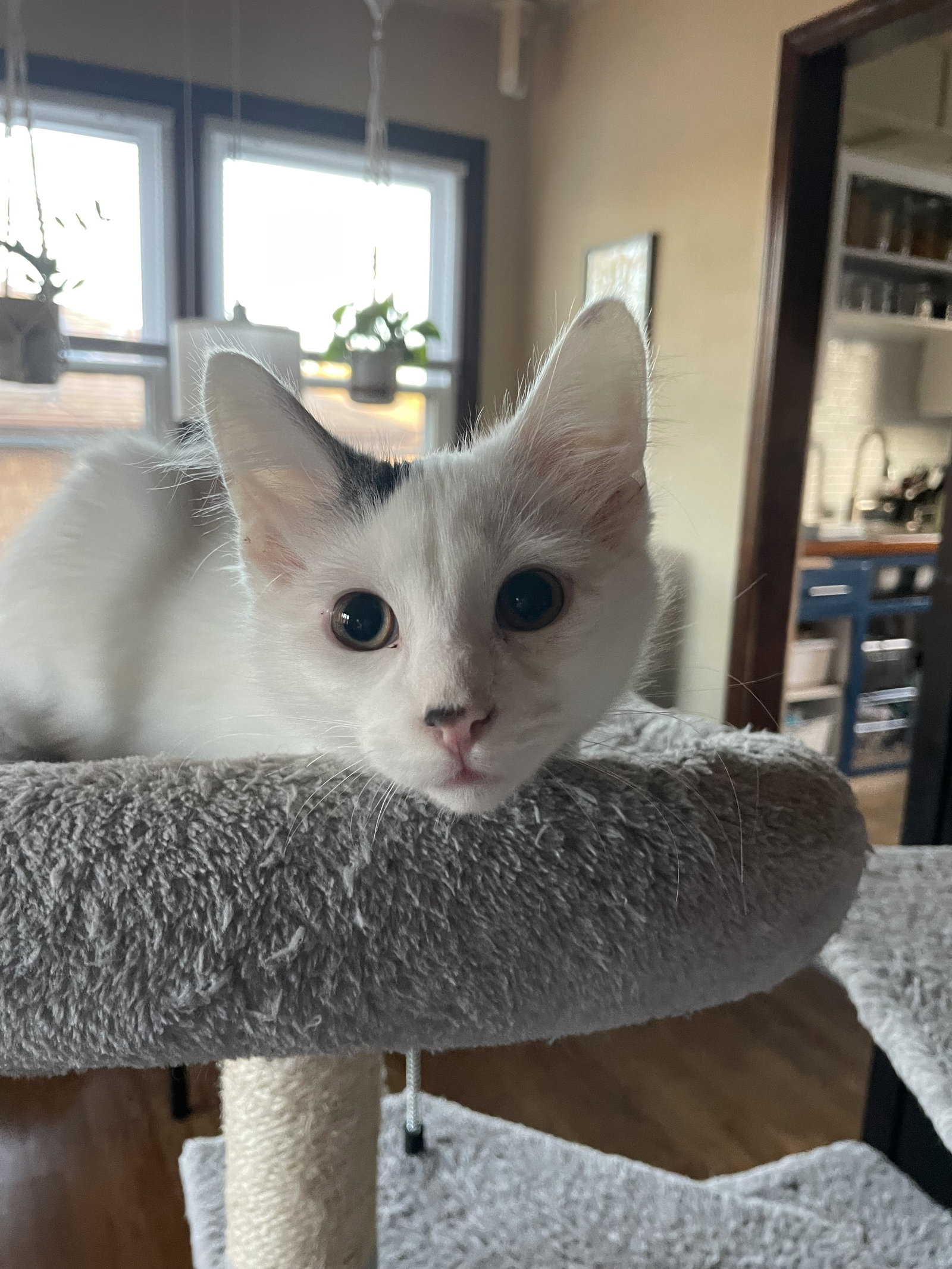 Yuki