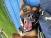 Frankie - Photo 7