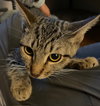 Cleopatra - Photo 1