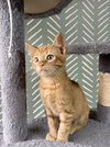 Ember - Photo 5