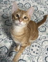 Ember - Photo 3