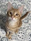 Ember - Photo 4