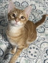 Ember - Photo 5