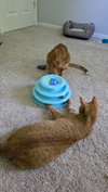 Ember - Photo 2