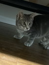Mufasa - Photo 5