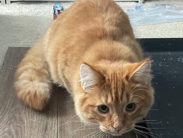 Rusty