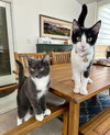 Digit - Photo 4