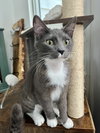 Digit - Photo 2