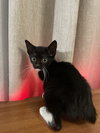 Tiny Dancer - Photo 2