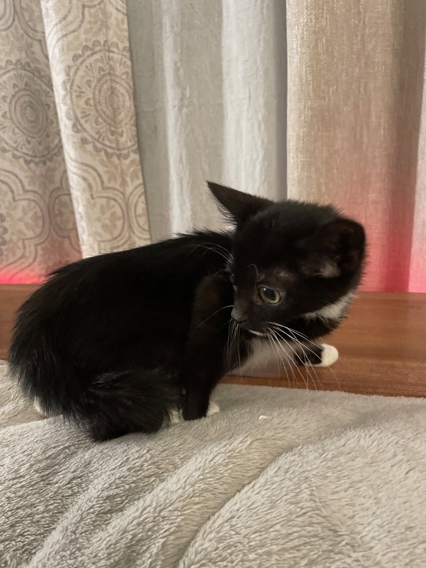 Tiny Dancer