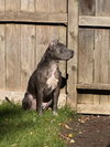 Toby - Photo 5