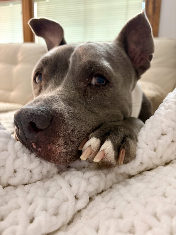 Lola