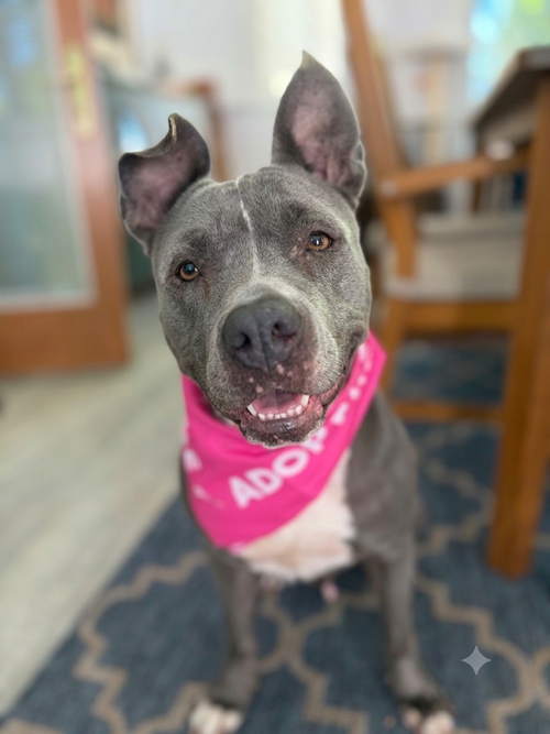 Lola, photo 2