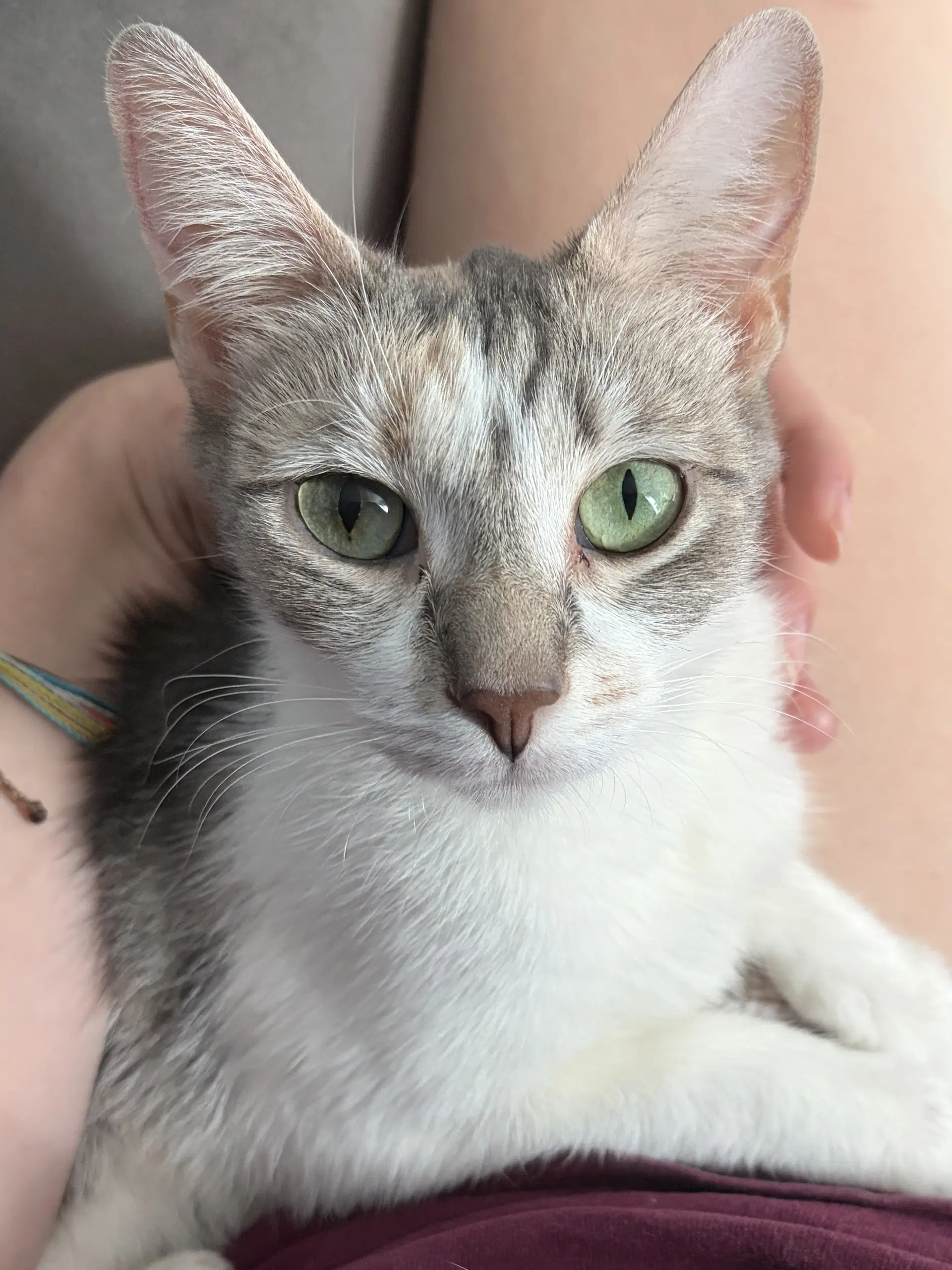 Jessie image 3