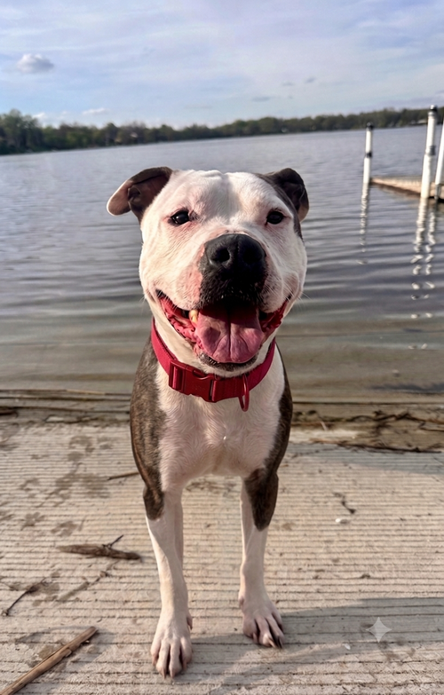 Jax photo 2