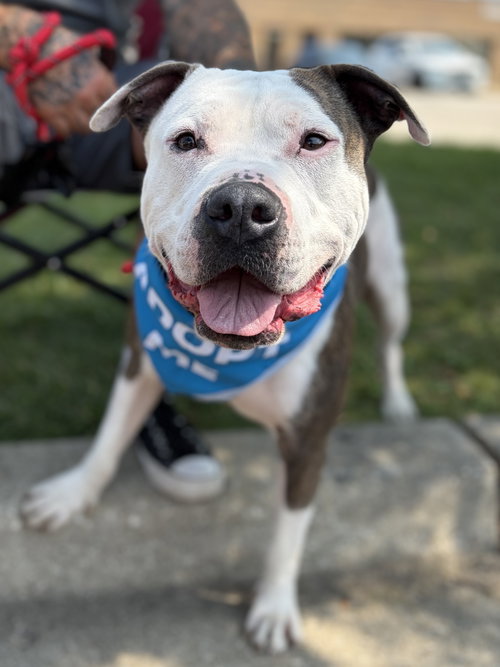 Jax