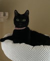 TESS - Photo 1