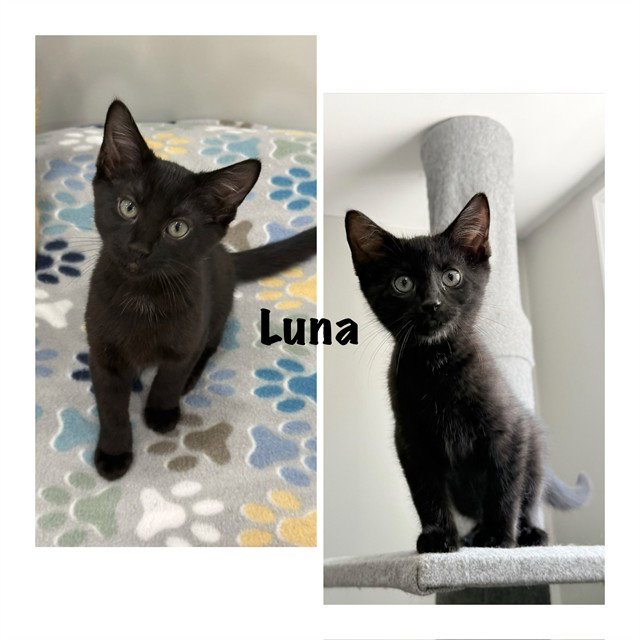 Luna
