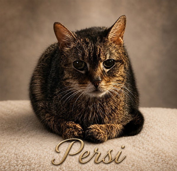 PERSI