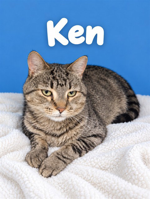 KEN
