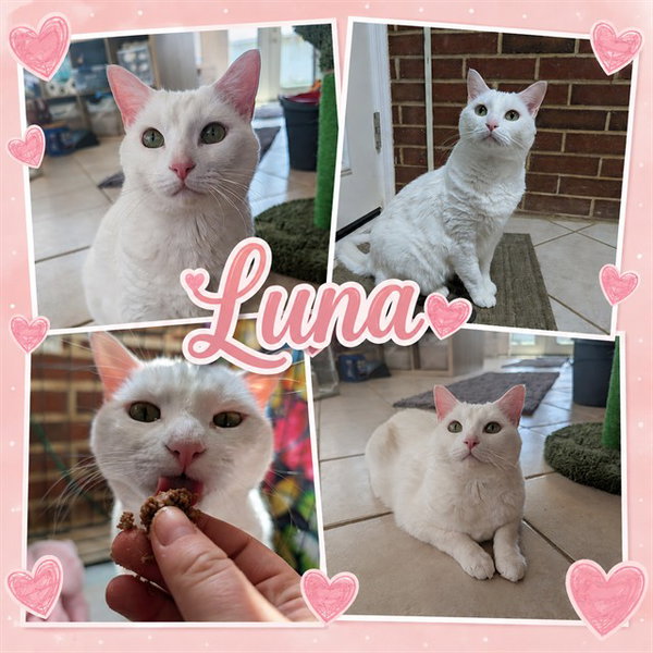 LUNA