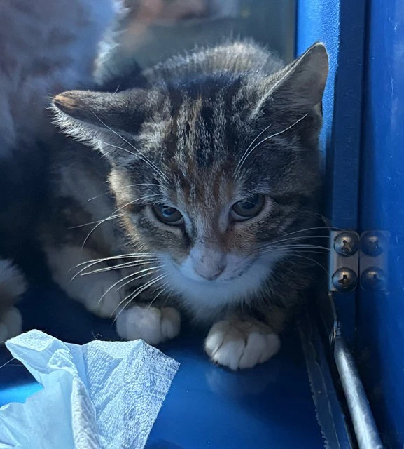 Eleanor