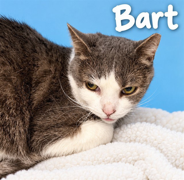 BART
