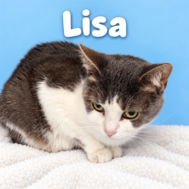 LISA