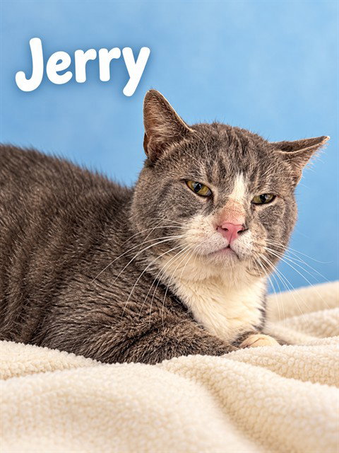 JERRY