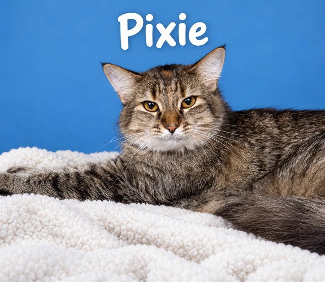 PIXIE