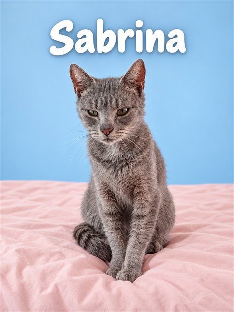 SABRINA