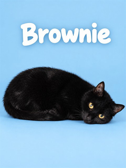 BROWNIE