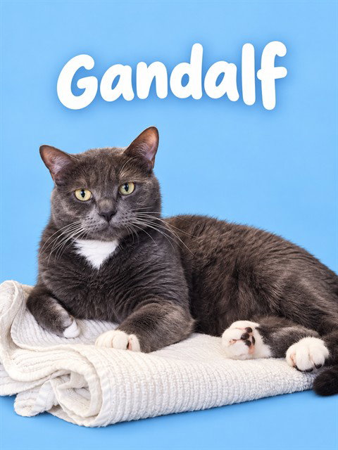 GANDALF