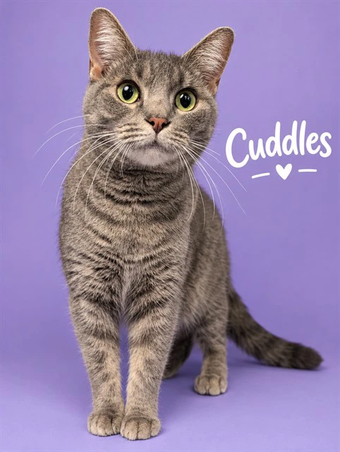Cuddles
