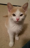 Nicholas