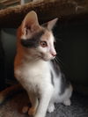 Thelma