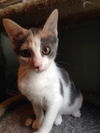 Thelma