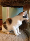 Thelma