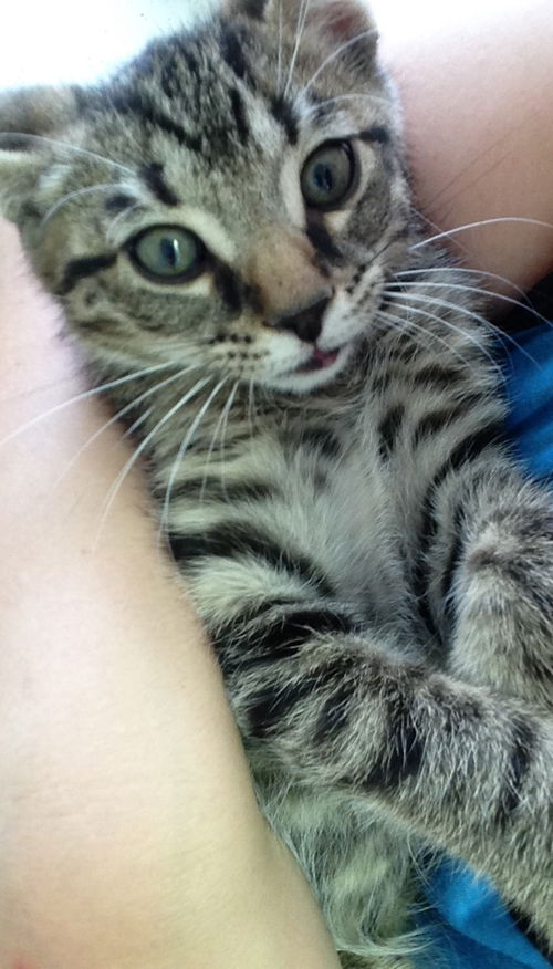 Oscar