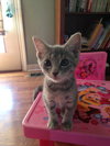 Winnie