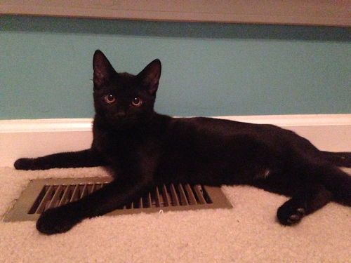 Onyx
