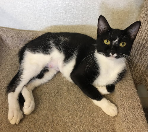 Luna