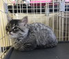 Branch